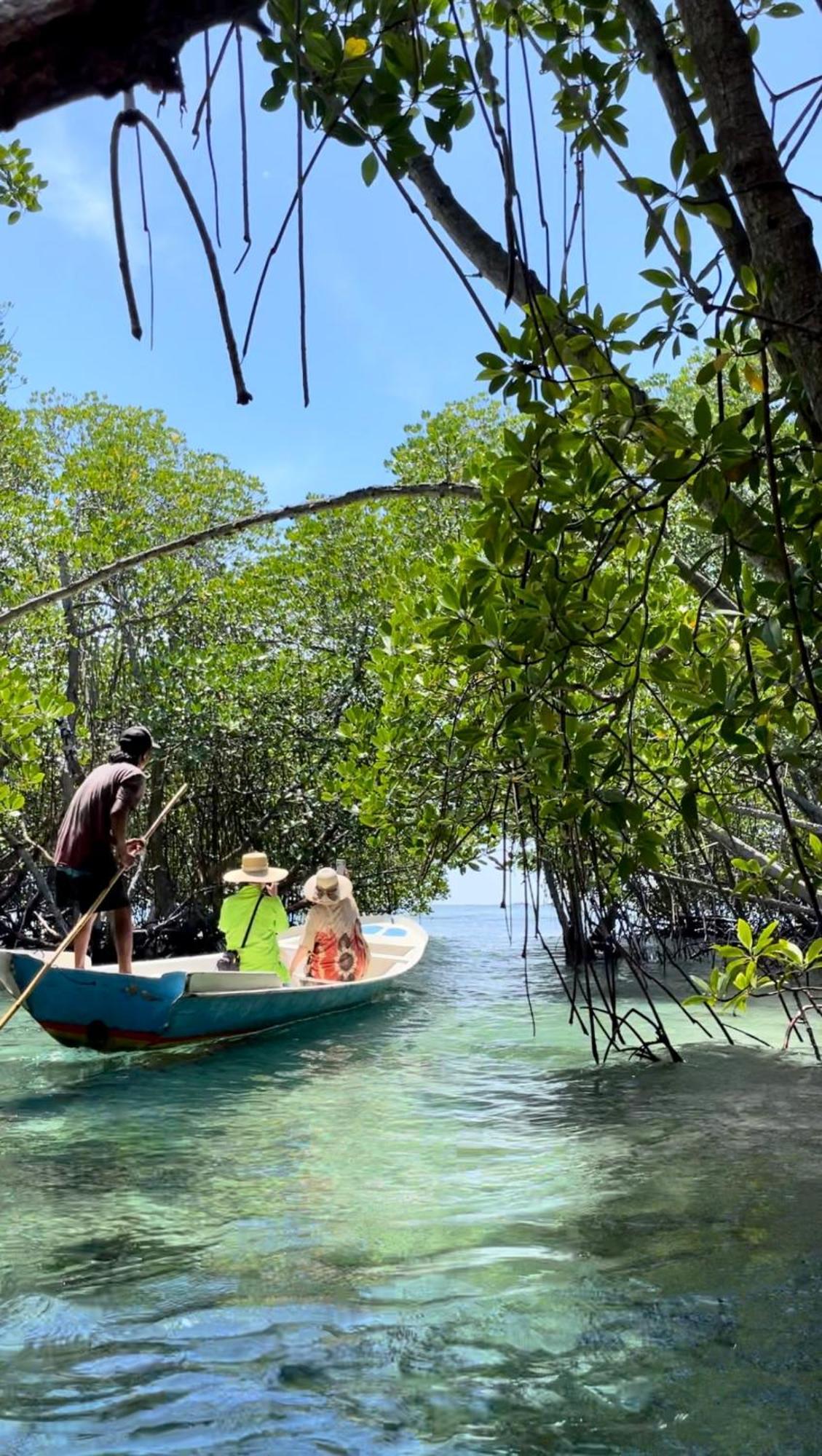 Mangrove Beach Hut Нуса-Лембонган Экстерьер фото